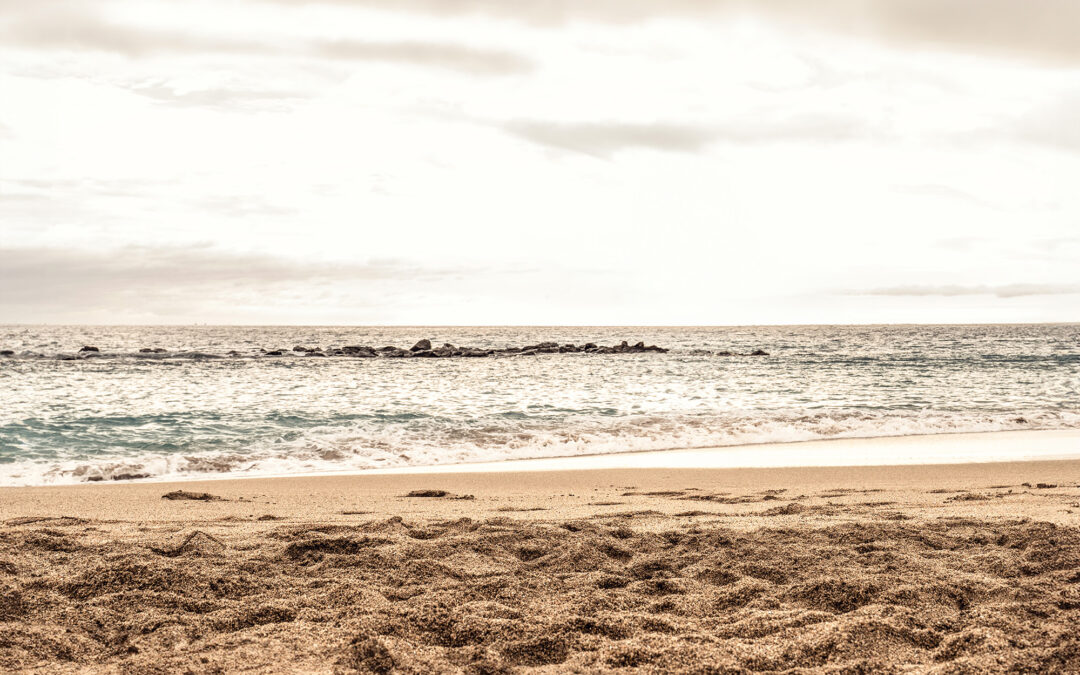 The ‘California Sober’ Trend: Is It Safe or a Slippery Slope?