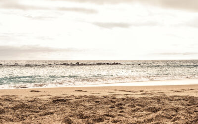 The ‘California Sober’ Trend: Is It Safe or a Slippery Slope?