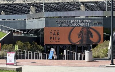 West LA Recovery Explores La Brea Tar Pits and Museum